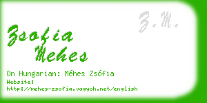 zsofia mehes business card